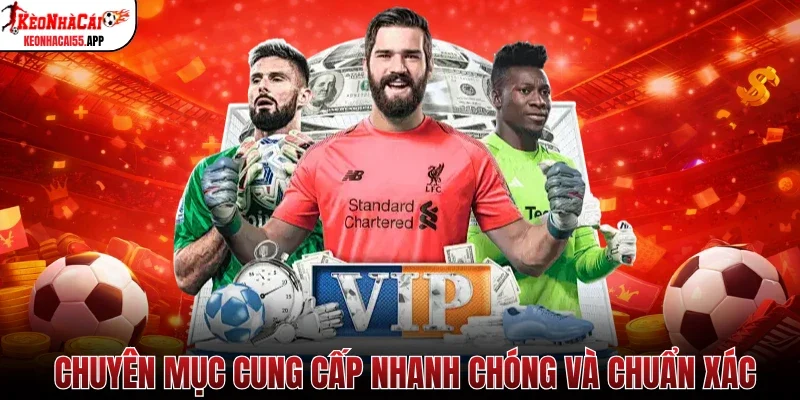 Chuyên mục cung cấp nhanh chóng và chuẩn xác