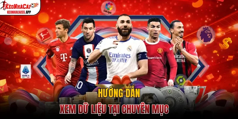 Hướng dẫn xem dữ liệu tại chuyên mục